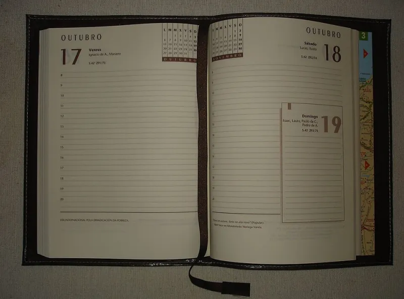 Counting Backwards From Day Zero: A Week-by-Week Timeline for Your First Order From Canada